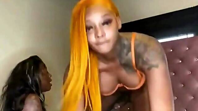 Shemale  Videos