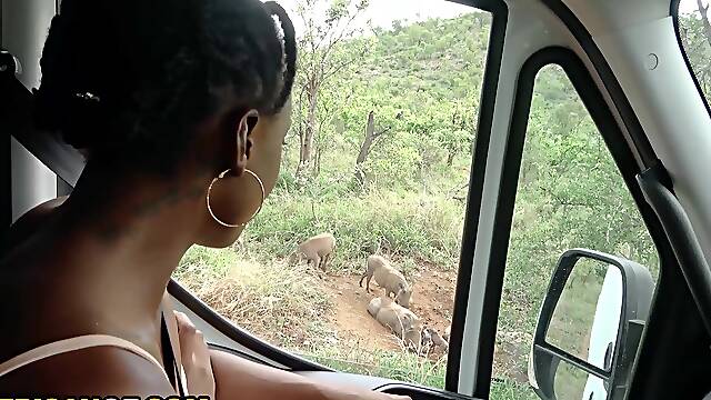 Nympho African Girlfriend Sucks My White Penis After Exotic Safari Date
